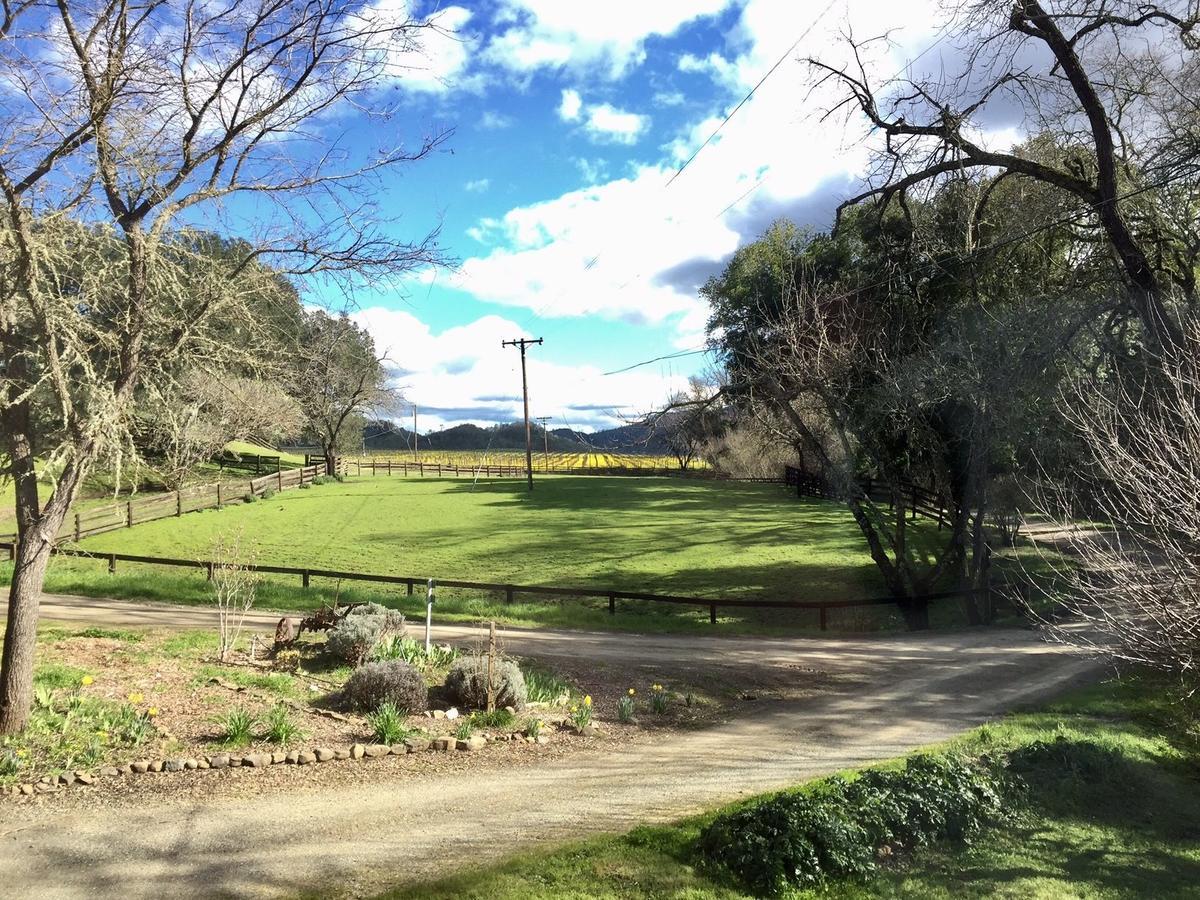 Rustridge Ranch & Winery Bed & Breakfast St. Helena Exterior photo