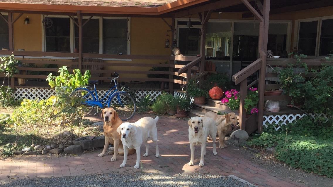 Rustridge Ranch & Winery Bed & Breakfast St. Helena Exterior photo