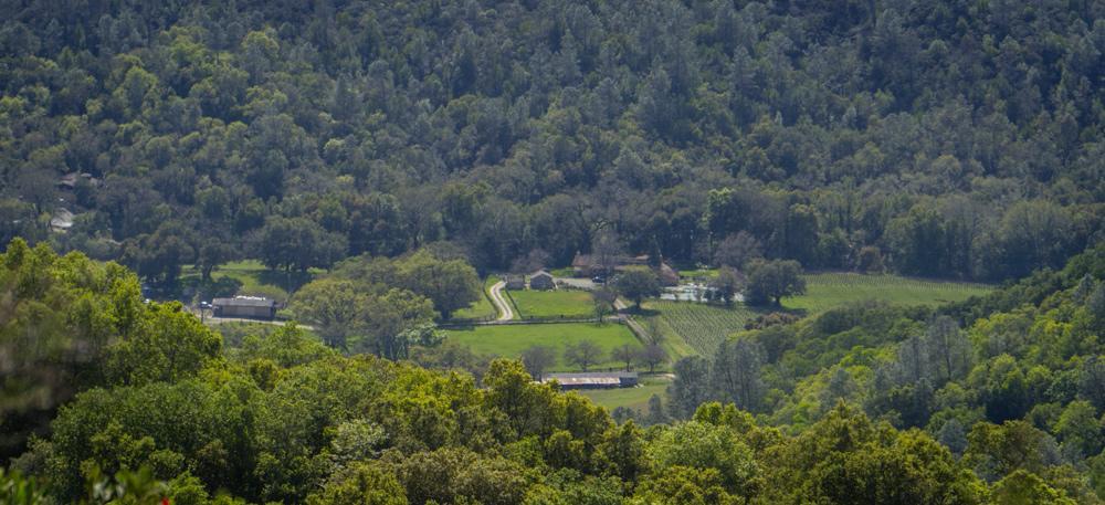 Rustridge Ranch & Winery Bed & Breakfast St. Helena Exterior photo