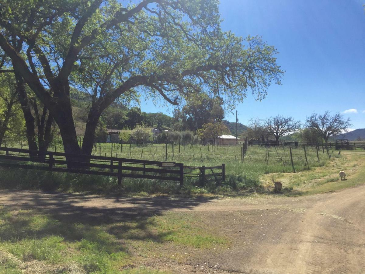 Rustridge Ranch & Winery Bed & Breakfast St. Helena Exterior photo